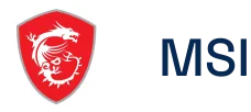 MSI